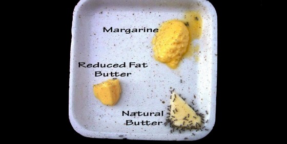 Butter-margarine-560x282